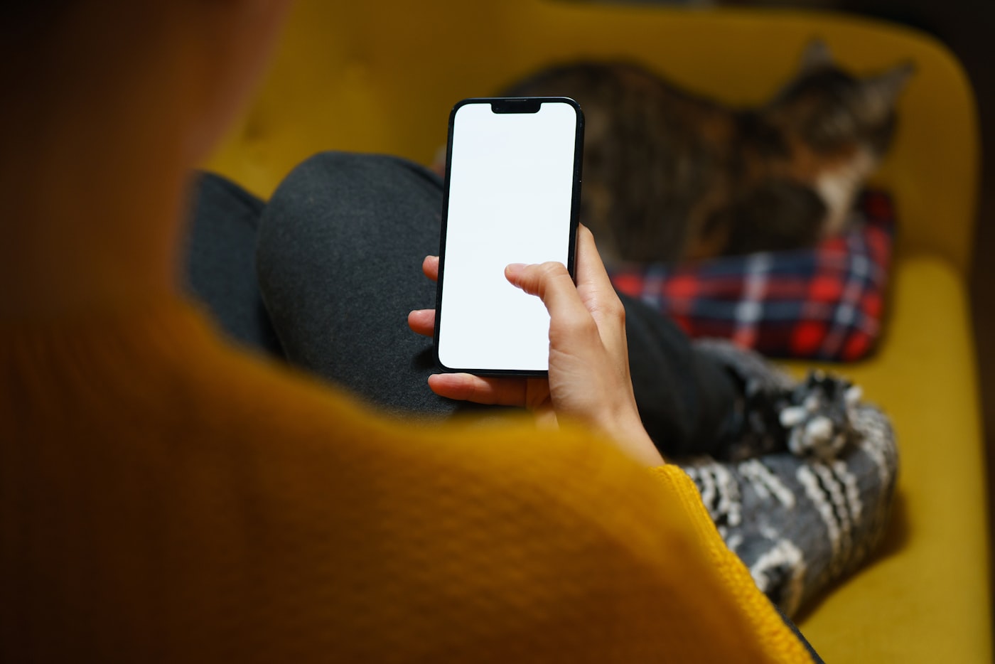 Person sitzt mit dem Smartphone in der Hand auf einem gelben Sessel, daneben döst eine Katze