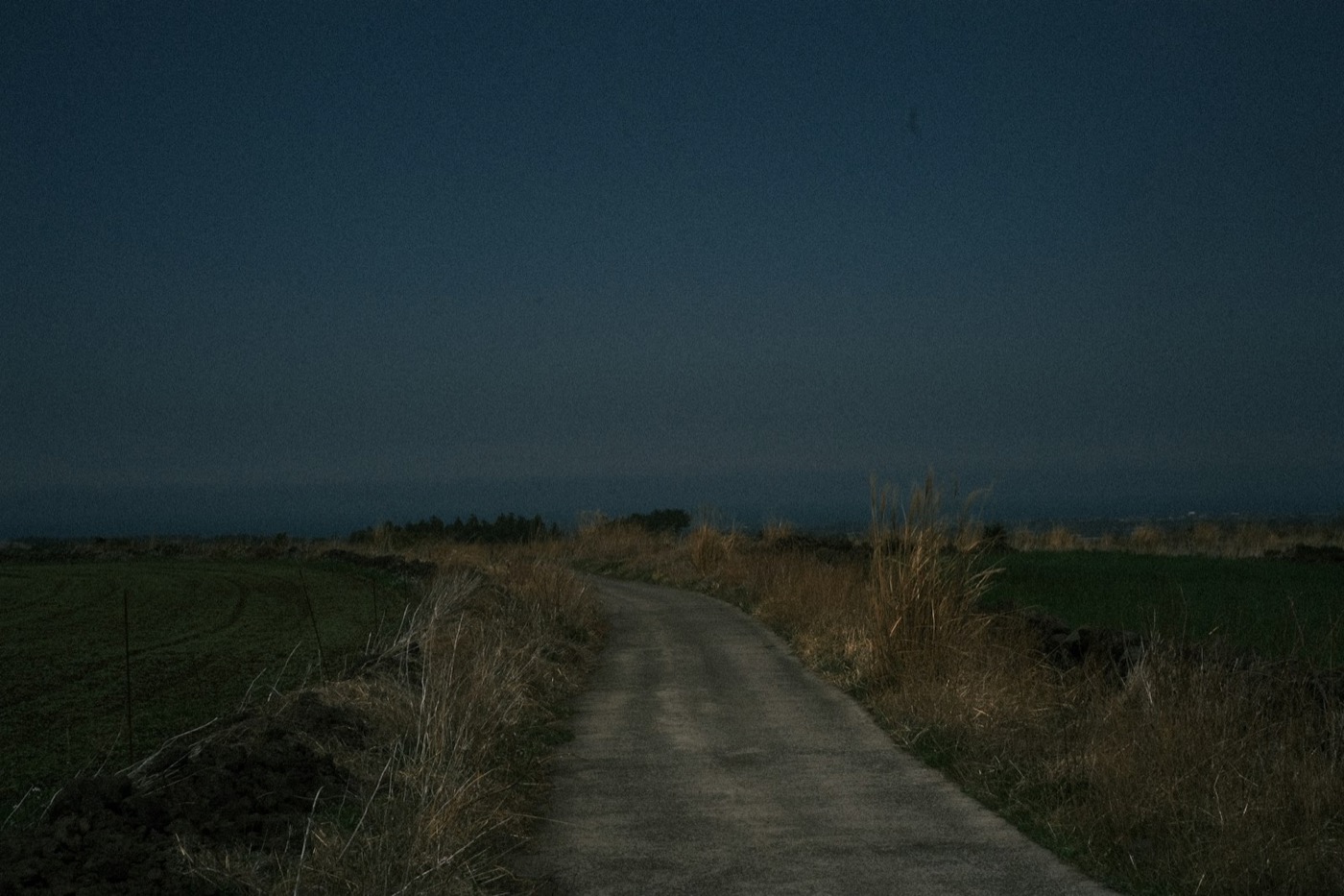 Schmale Landstraße zwischen Feldern in der Abenddämmerung