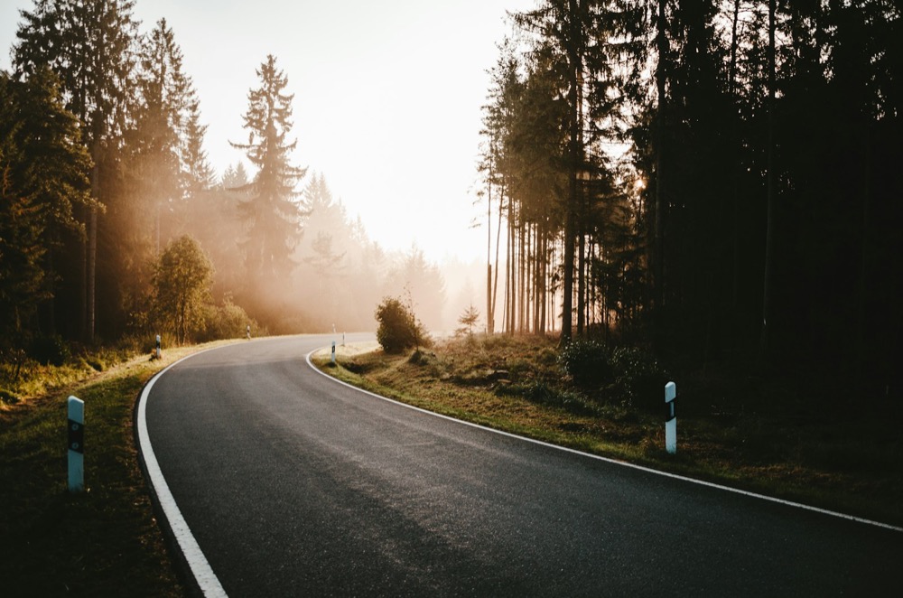Kurvige Landstraße durch den Wald bei tief stehender Sonne