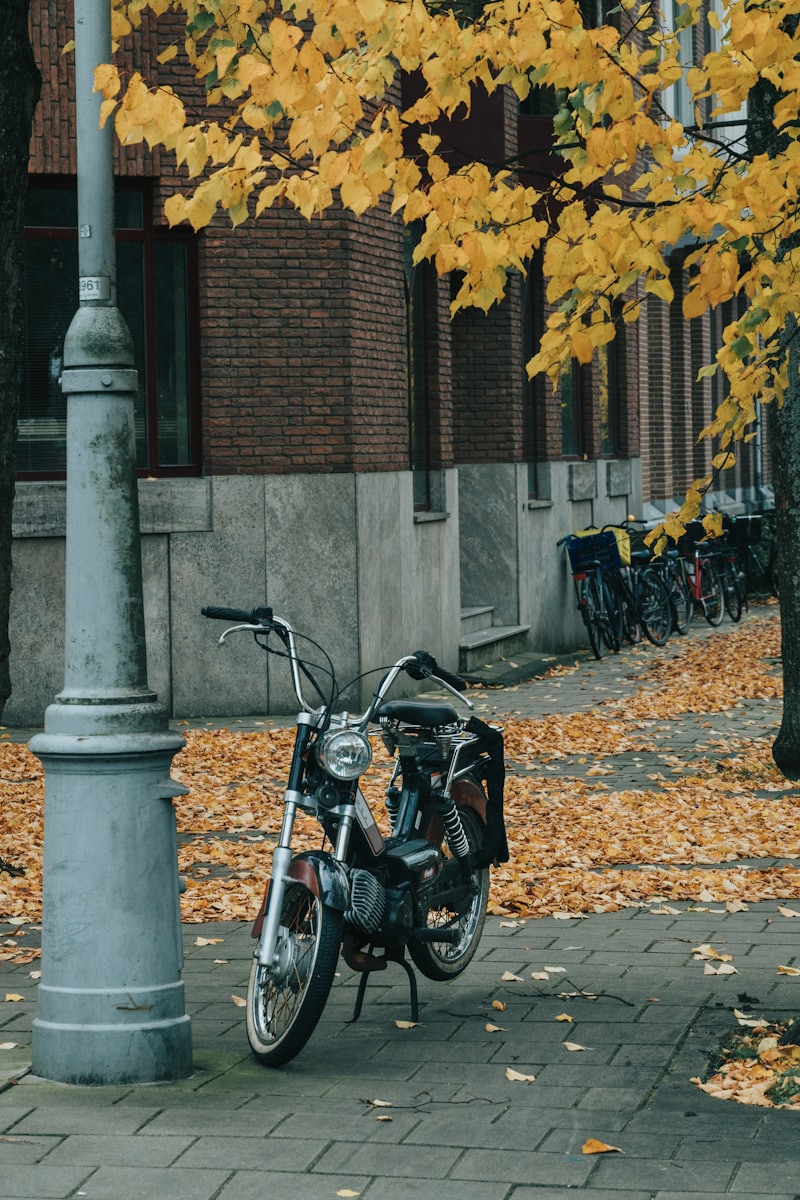 Ein kleines Moped steht im Herbstlaub am Straßenrand, dahinter parkende Fahrräder
