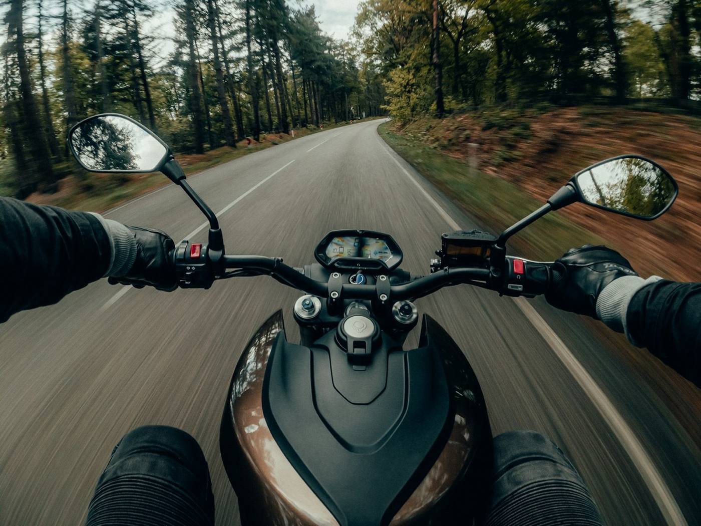 Blick über den Lenker eines Motorrads auf eine kurvige Waldstraße