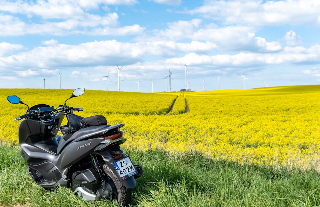 Ein Motorroller steht am Feldrand vor einem blühenden Rapsfeld mit Windrädern am Horizont